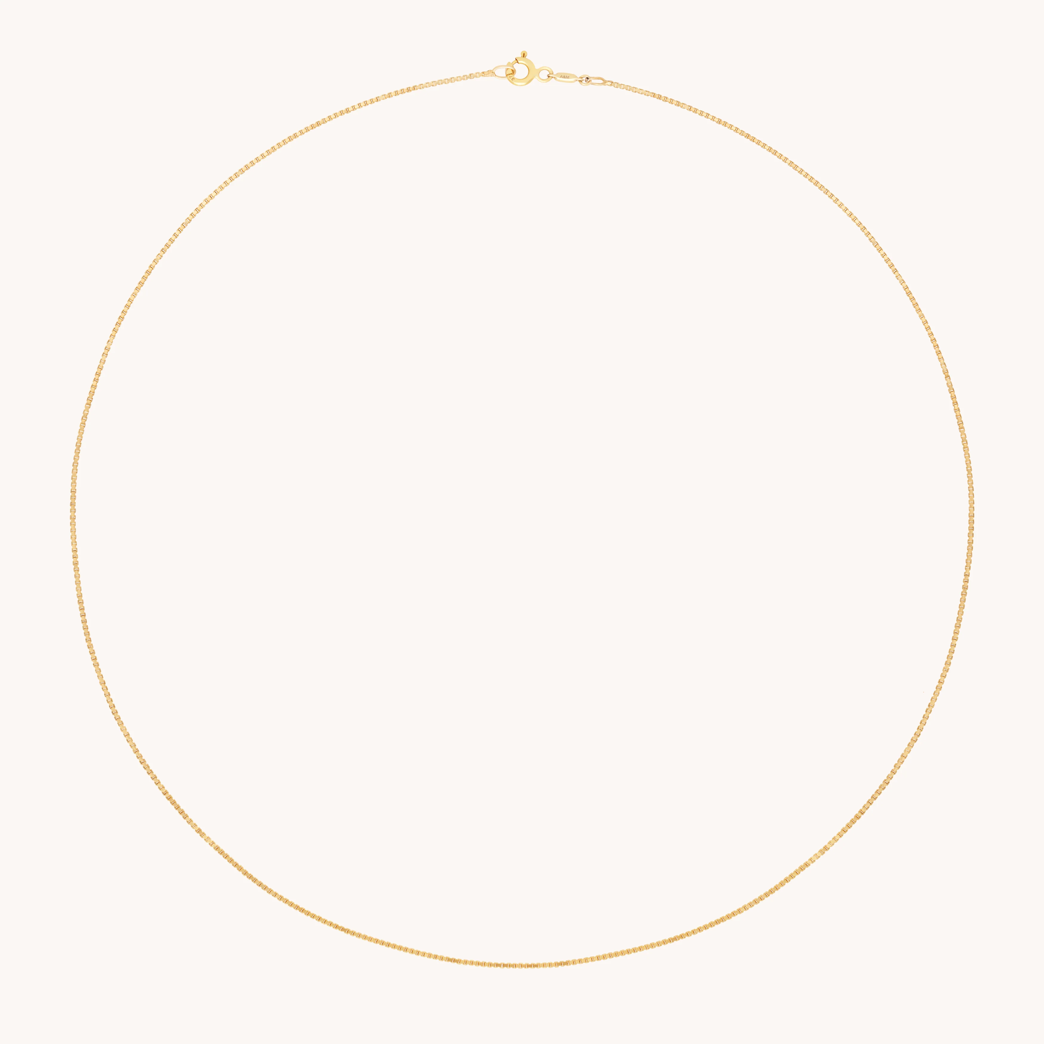 Shoreditch Chain Necklace in Solid Gold